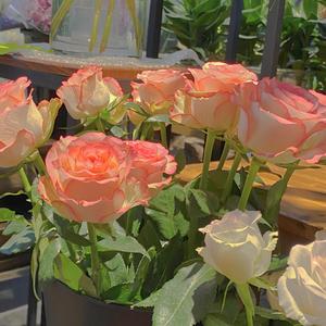 小女生光溜溜图片视频素材
