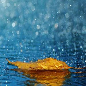 小女生光溜溜图片视频素材
